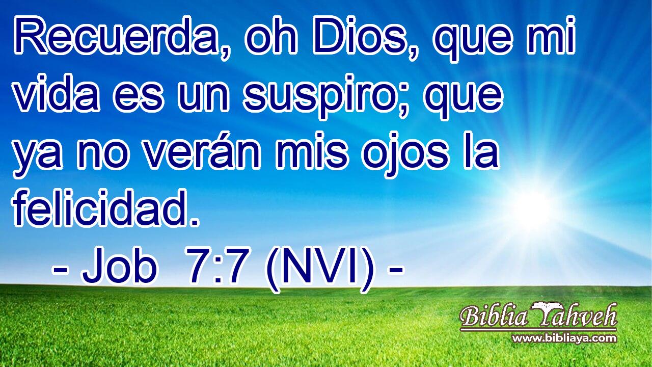  Recuerda, oh Dios, que mi vida es un suspiro; que ya no verán mis ojos la felicidad. 