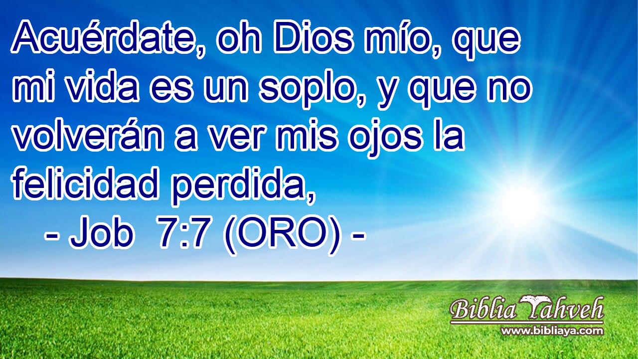 Acuérdate, oh Dios mío, que mi vida es un soplo, y que no volverán a ver mis ojos la felicidad perdida, 