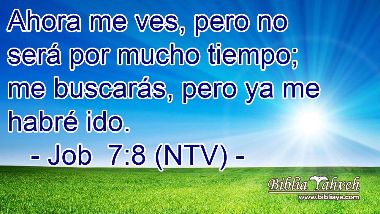 Ahora me ves, pero no será por mucho tiempo; me buscarás, pero ya me habré ido.