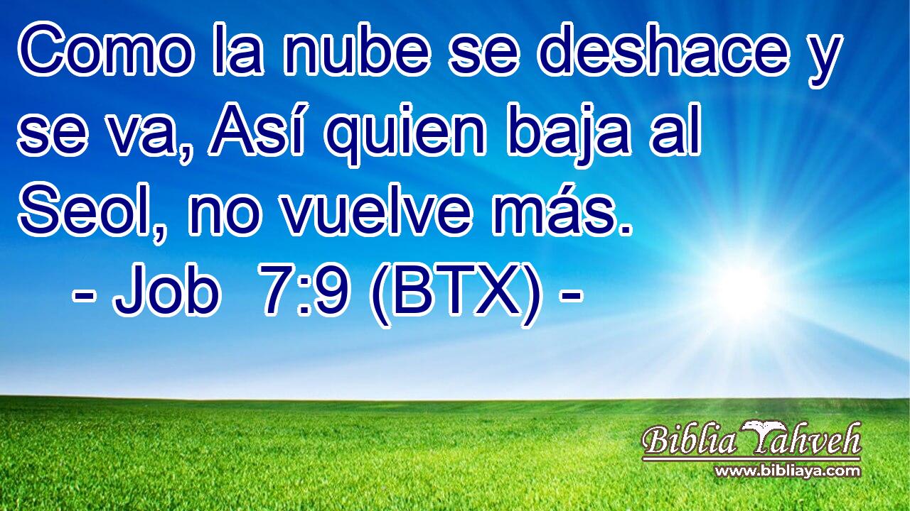 Como la nube se deshace y se va, Así quien baja al Seol, no vuelve más.