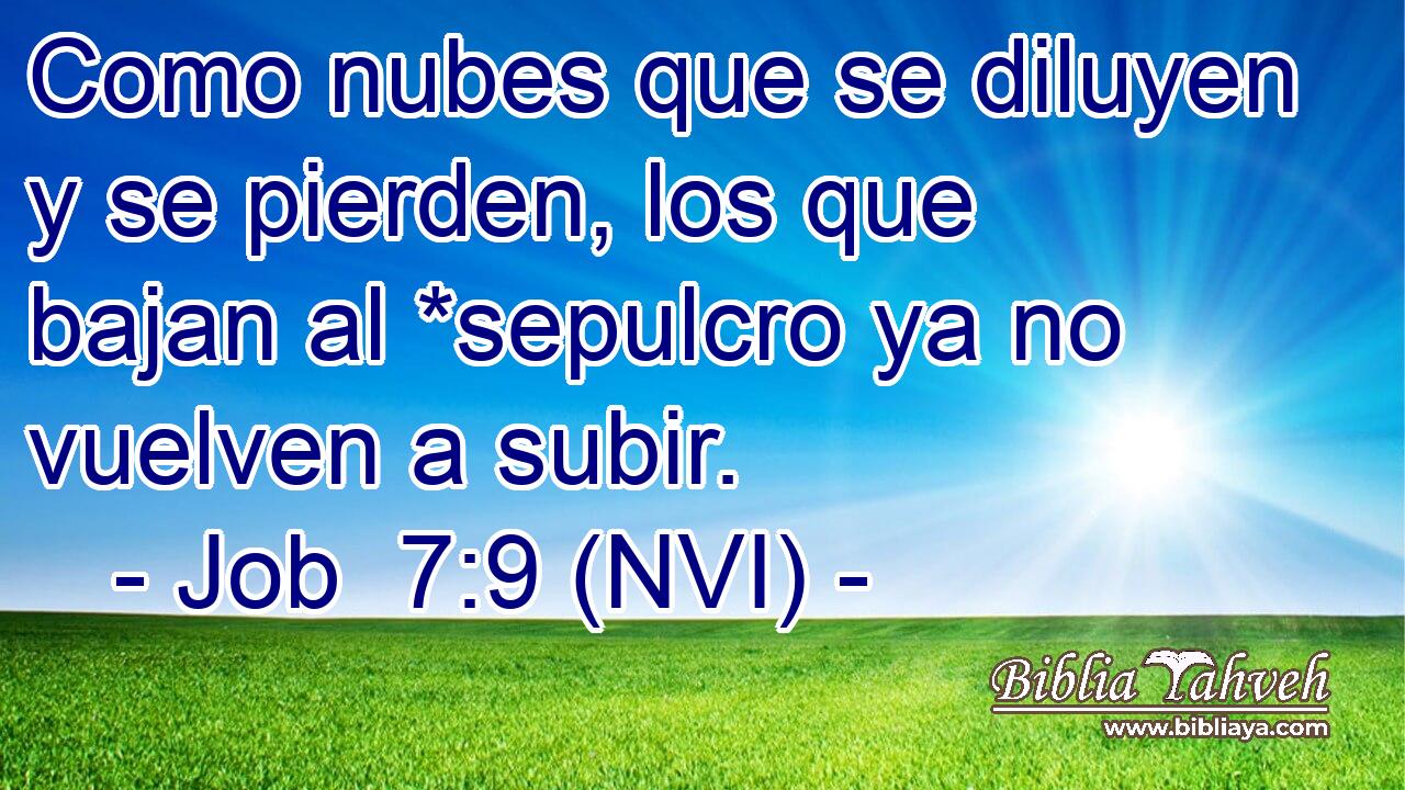  Como nubes que se diluyen y se pierden, los que bajan al *sepulcro ya no vuelven a subir. 