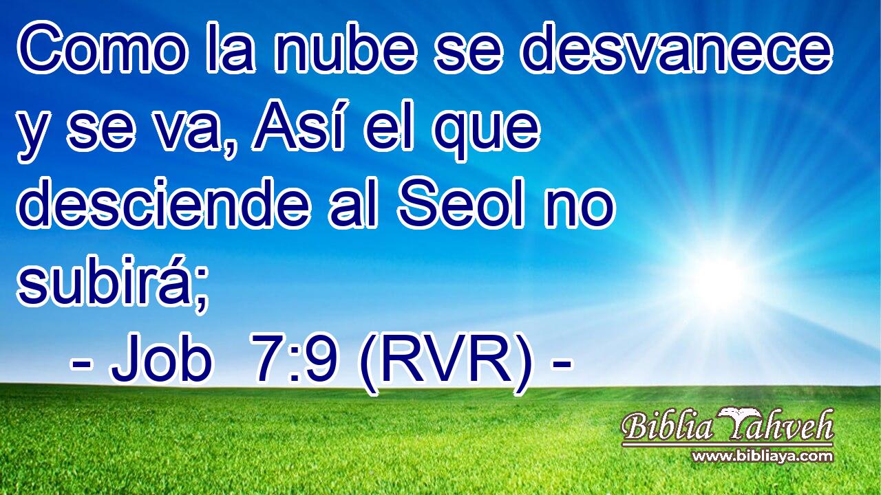 Como la nube se desvanece y se va, Así el que desciende al Seol no subirá;