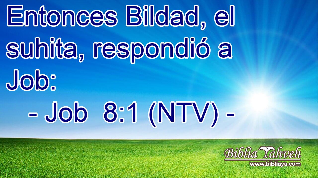 Entonces Bildad, el suhita, respondió a Job: