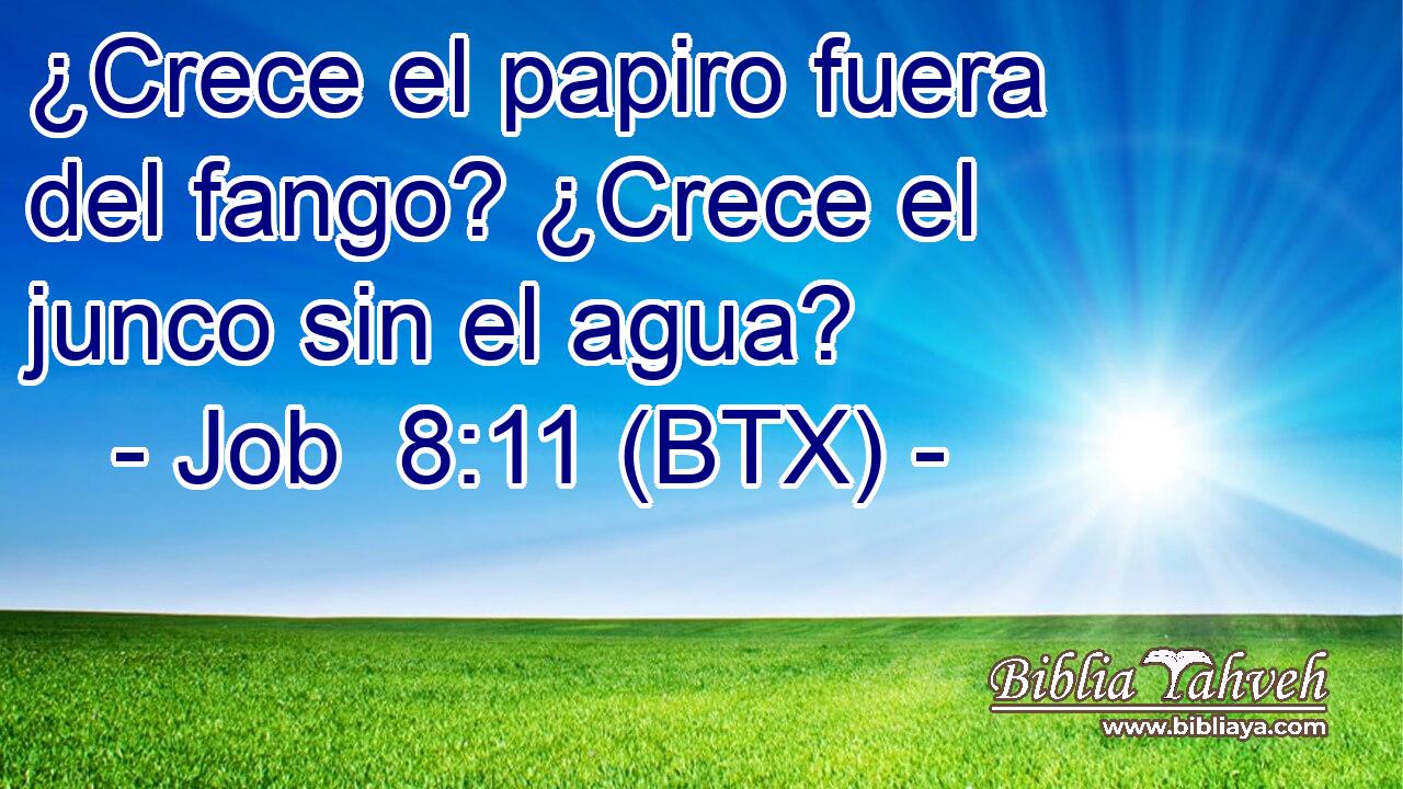 ¿Crece el papiro fuera del fango? ¿Crece el junco sin el agua?