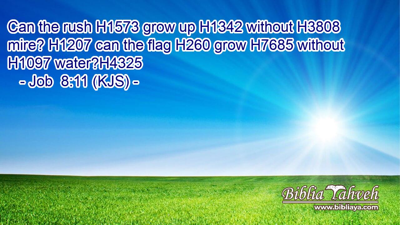Can the rush H1573 grow up H1342 without H3808 mire? H1207 can the flag H260 grow H7685 without H1097 water?H4325