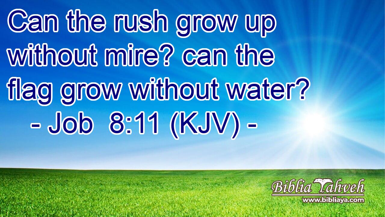 Can the rush grow up without mire? can the flag grow without water?