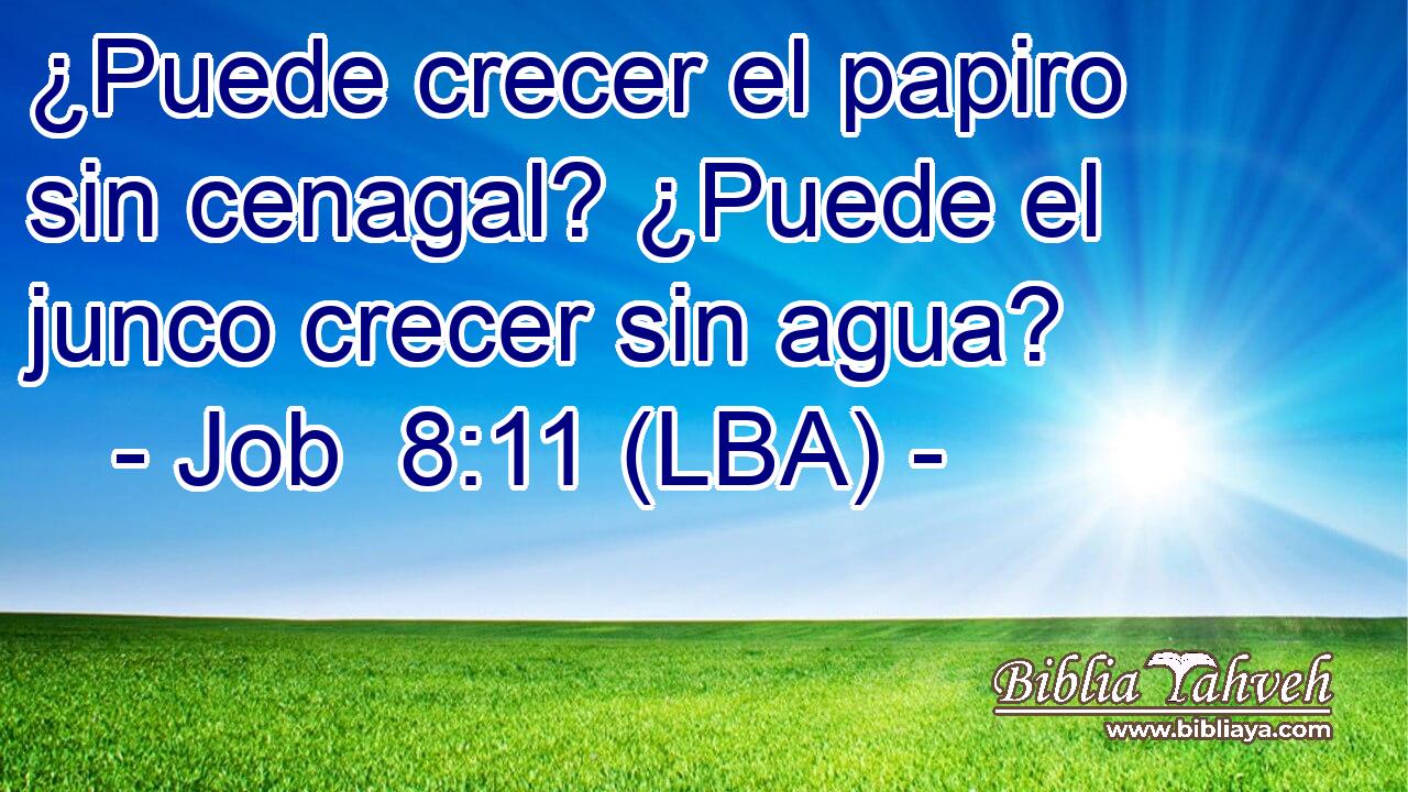 ¿Puede crecer el papiro sin cenagal? ¿Puede el junco crecer sin agua?