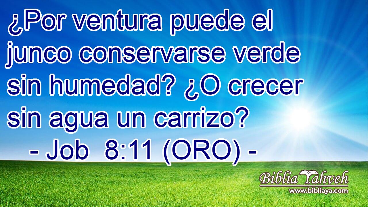  ¿Por ventura puede el junco conservarse verde sin humedad? ¿O crecer sin agua un carrizo? 