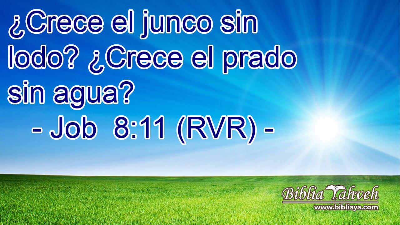 ¿Crece el junco sin lodo? ¿Crece el prado sin agua?