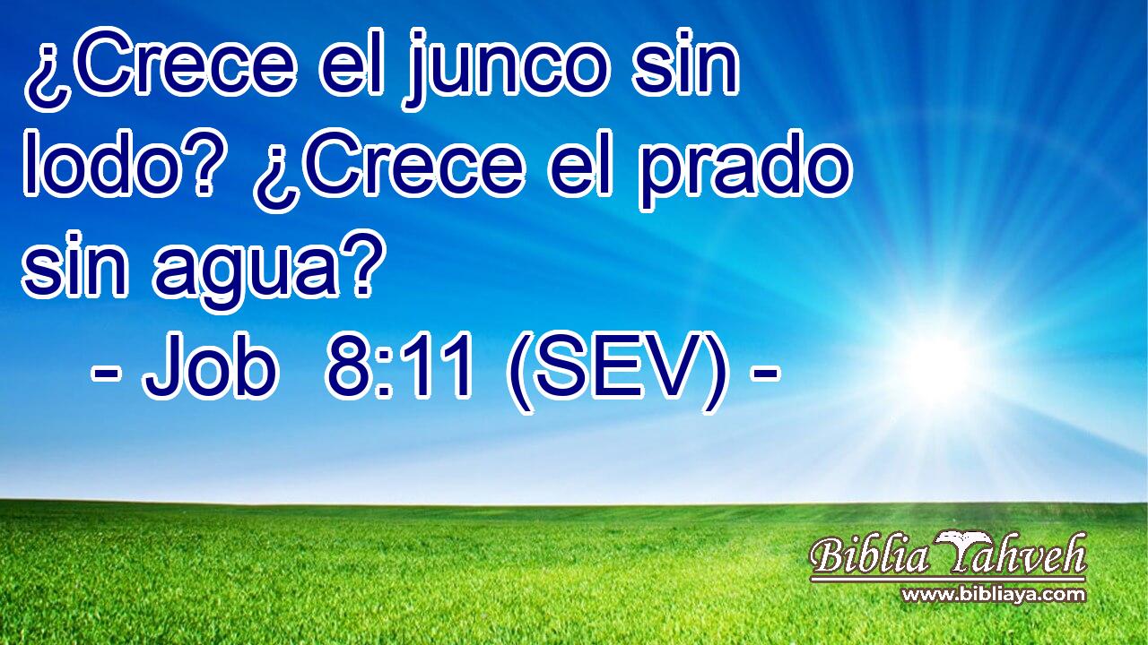 ¿Crece el junco sin lodo? ¿Crece el prado sin agua?