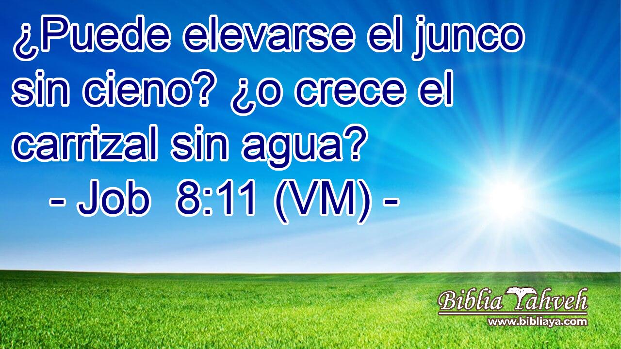  ¿Puede elevarse el junco sin cieno? ¿o crece el carrizal sin agua? 