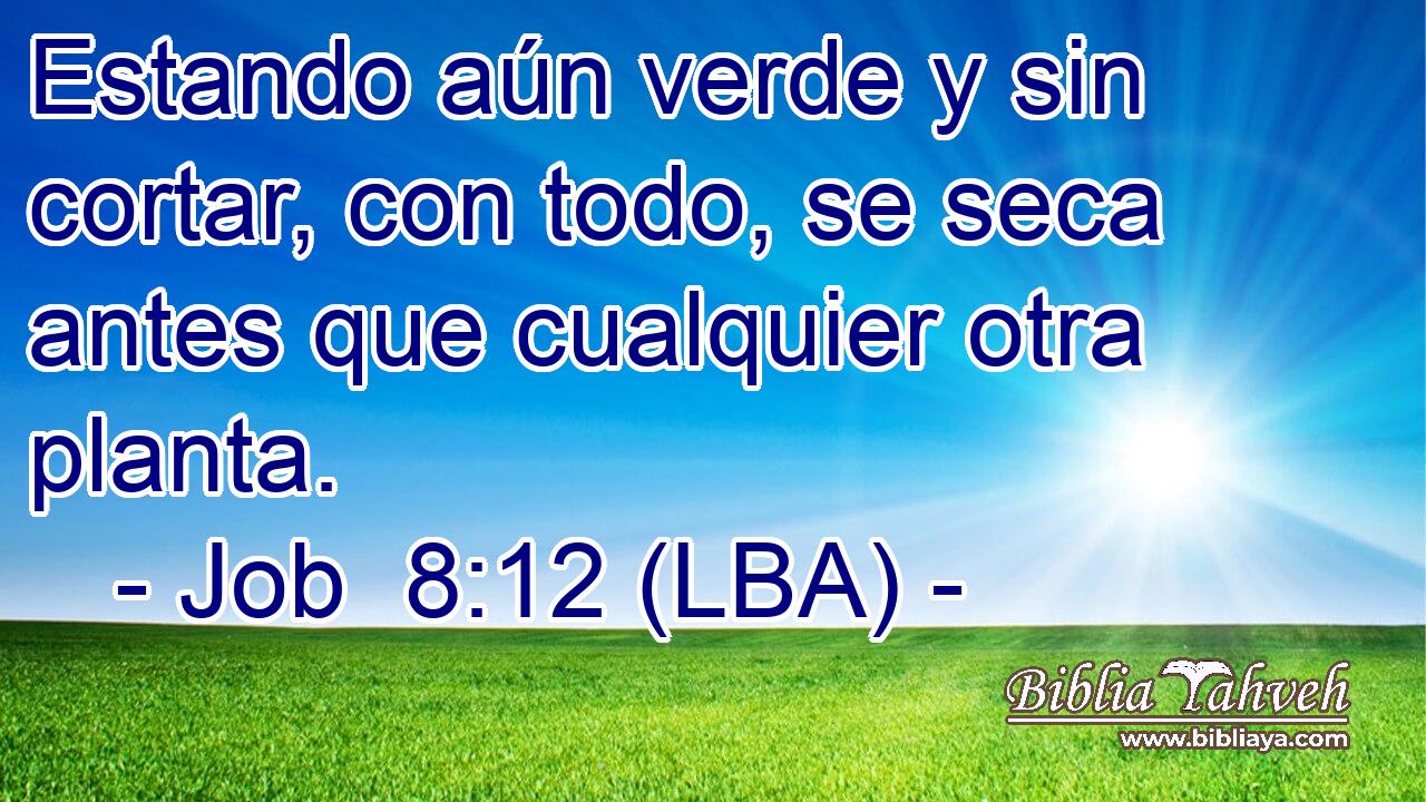 Estando aún verde y sin cortar, con todo, se seca antes que cualquier otra planta.