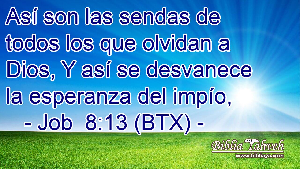 Así son las sendas de todos los que olvidan a Dios, Y así se desvanece la esperanza del impío,