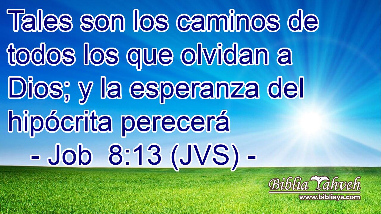 Tales son los caminos de todos los que olvidan a Dios; y la esperanza del hipócrita perecerá