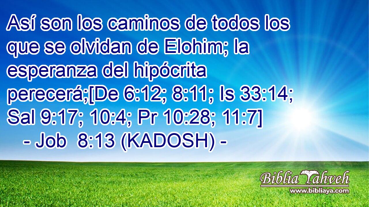  Así son los caminos de todos los que se olvidan de Elohim; la esperanza del hipócrita perecerá;[De 6:12; 8:11; Is 33:14; Sal 9:17; 10:4; Pr 10:28; 11:7] 