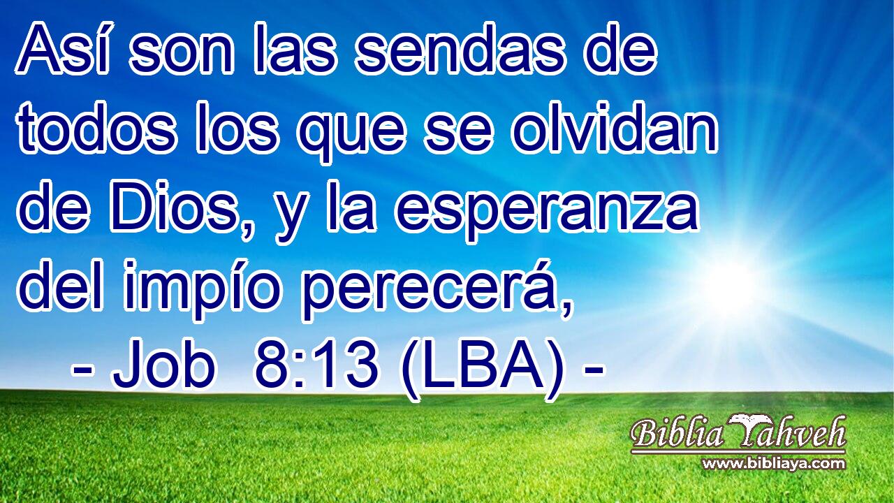 Así son las sendas de todos los que se olvidan de Dios, y la esperanza del impío perecerá,