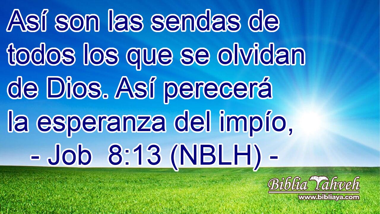 Así son las sendas de todos los que se olvidan de Dios. Así perecerá la esperanza del impío, 