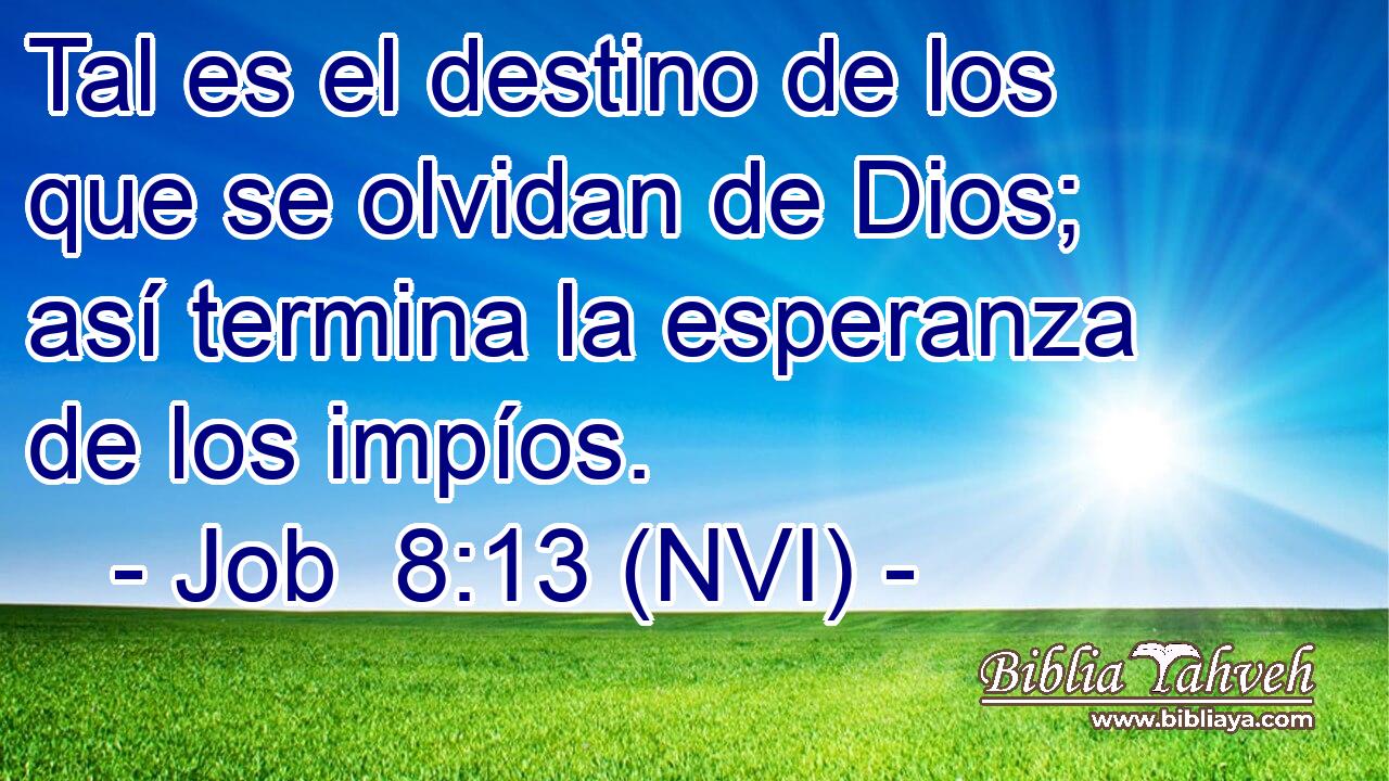  Tal es el destino de los que se olvidan de Dios; así termina la esperanza de los impíos. 