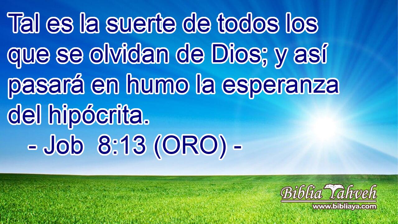  Tal es la suerte de todos los que se olvidan de Dios; y así pasará en humo la esperanza del hipócrita. 