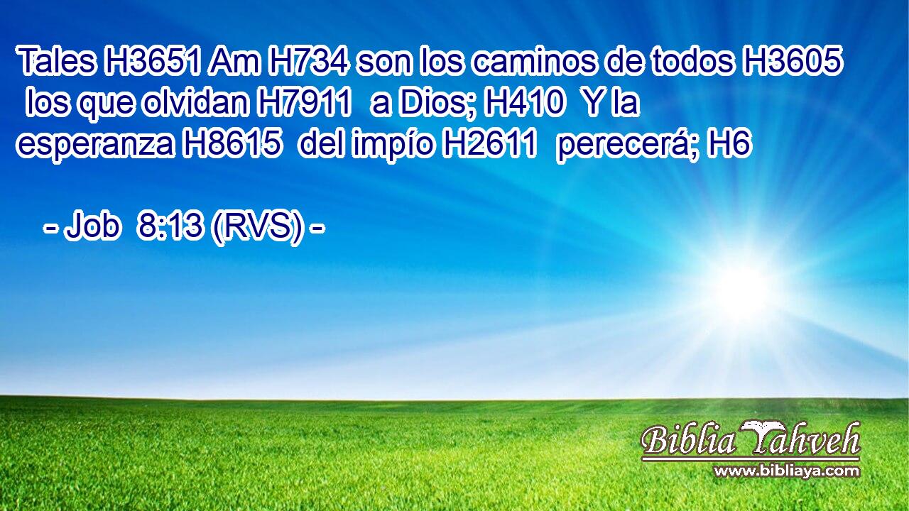 Tales H3651 Am H734 son los caminos de todos H3605  los que olvidan H7911  a Dios; H410  Y la esperanza H8615  del impío H2611  perecerá; H6  