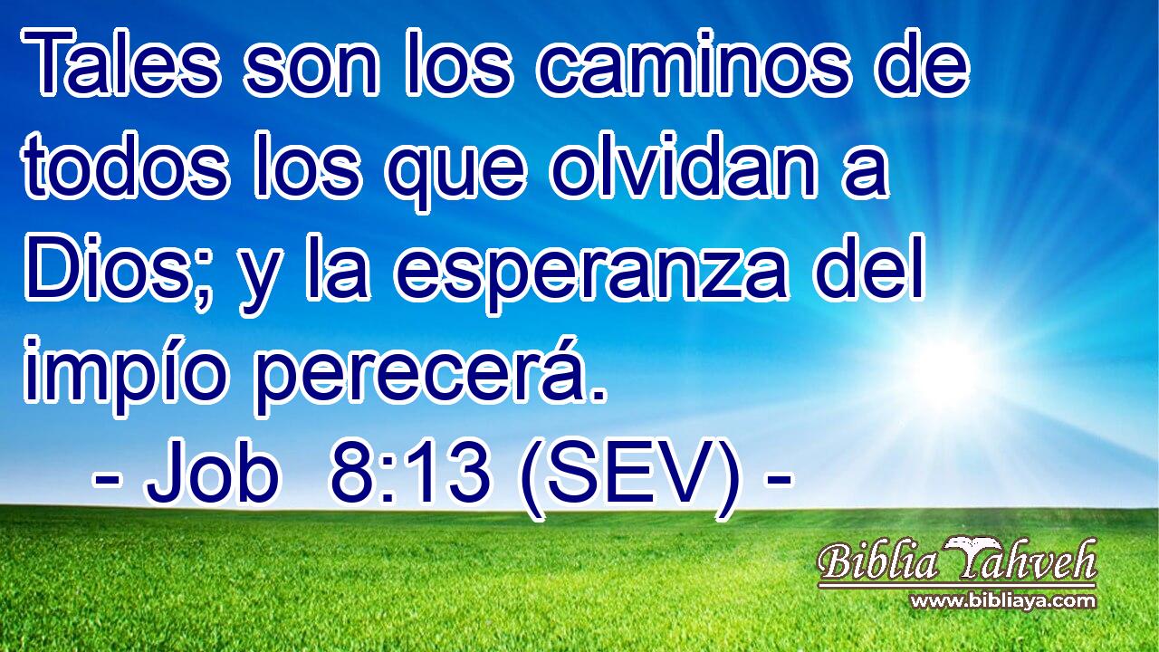 Tales son los caminos de todos los que olvidan a Dios; y la esperanza del impío perecerá.