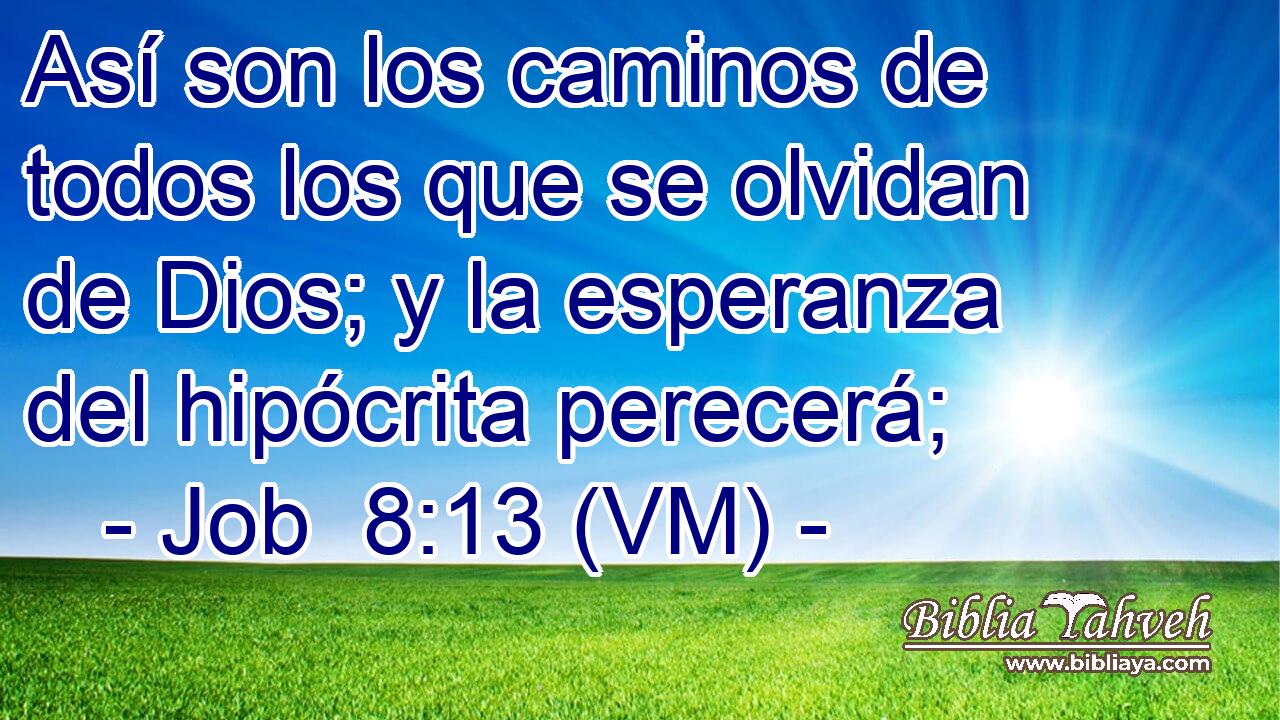  Así son los caminos de todos los que se olvidan de Dios; y la esperanza del hipócrita perecerá; 