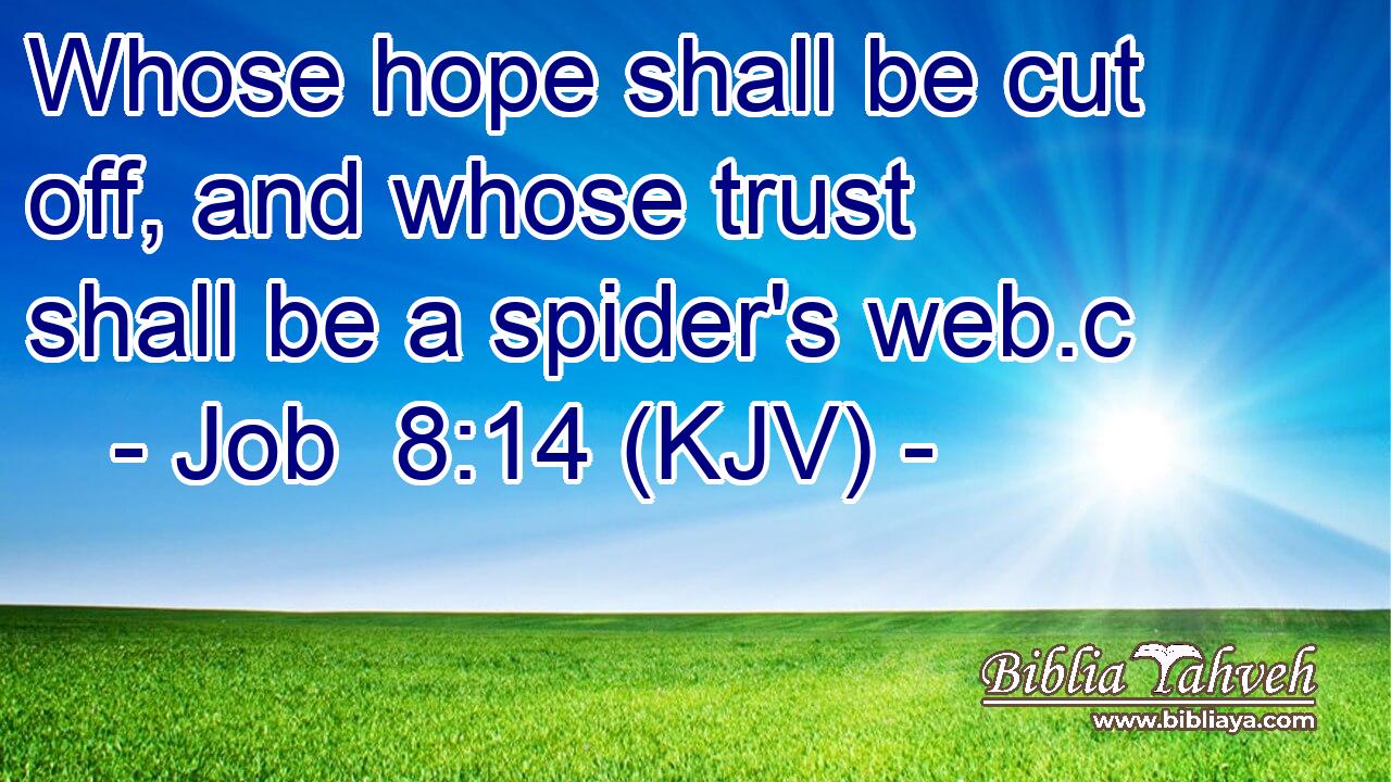 Whose hope shall be cut off, and whose trust shall be a spider's web.c