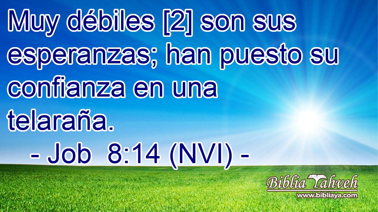  Muy débiles [2] son sus esperanzas; han puesto su confianza en una telaraña. 