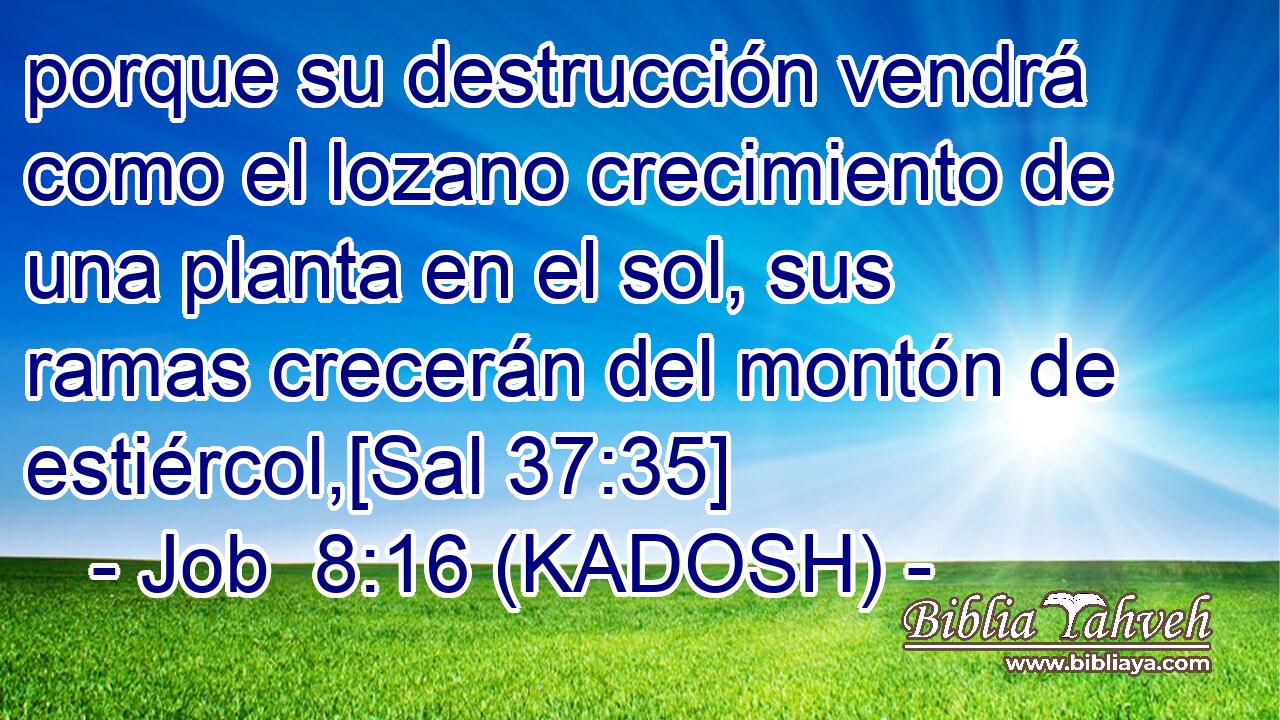  porque su destrucción vendrá como el lozano crecimiento de una planta en el sol, sus ramas crecerán del montón de estiércol,[Sal 37:35] 
