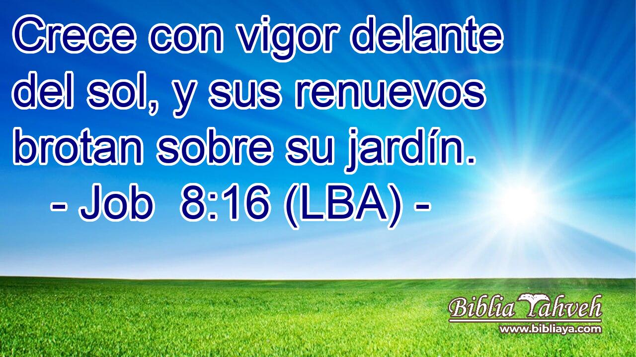 Crece con vigor delante del sol, y sus renuevos brotan sobre su jardín.