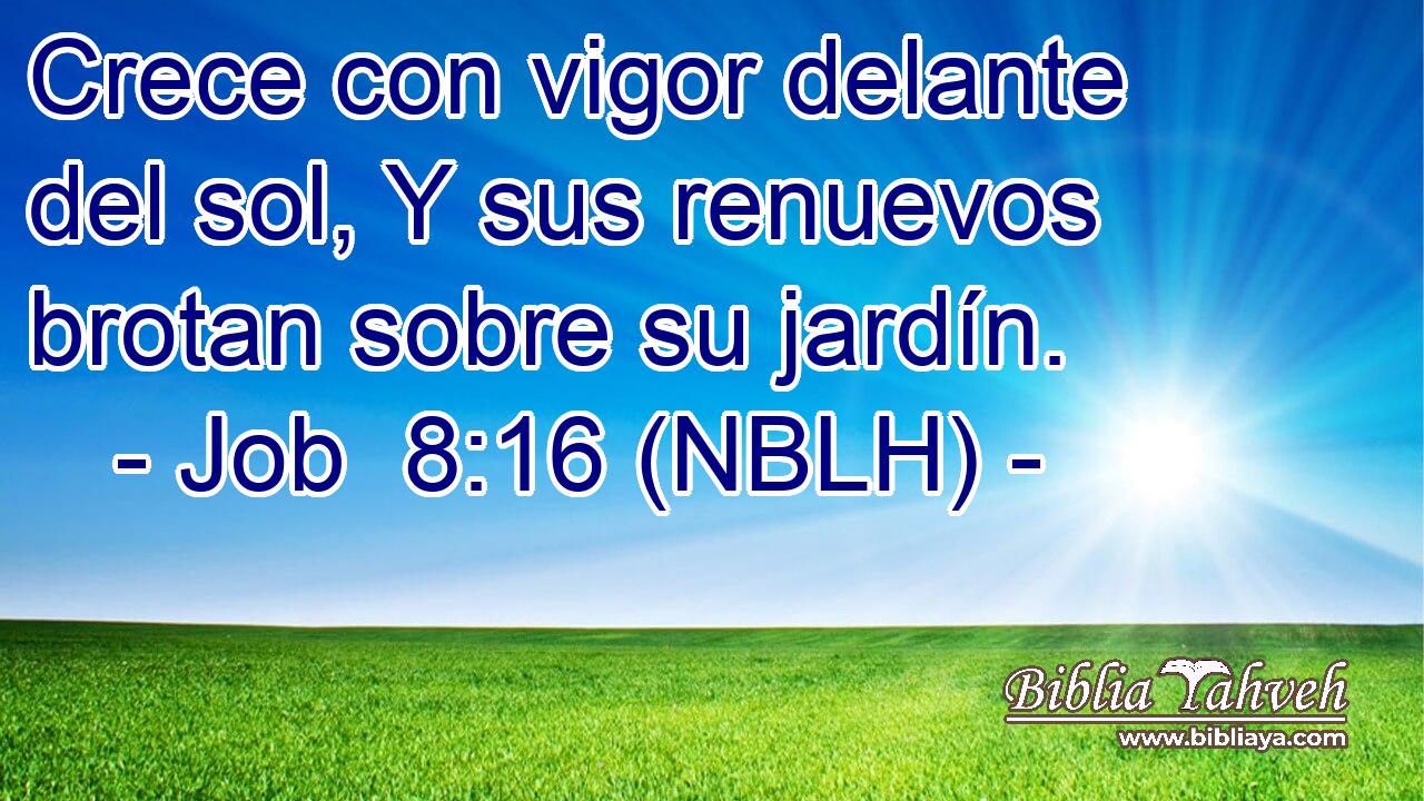  Crece con vigor delante del sol, Y sus renuevos brotan sobre su jardín. 