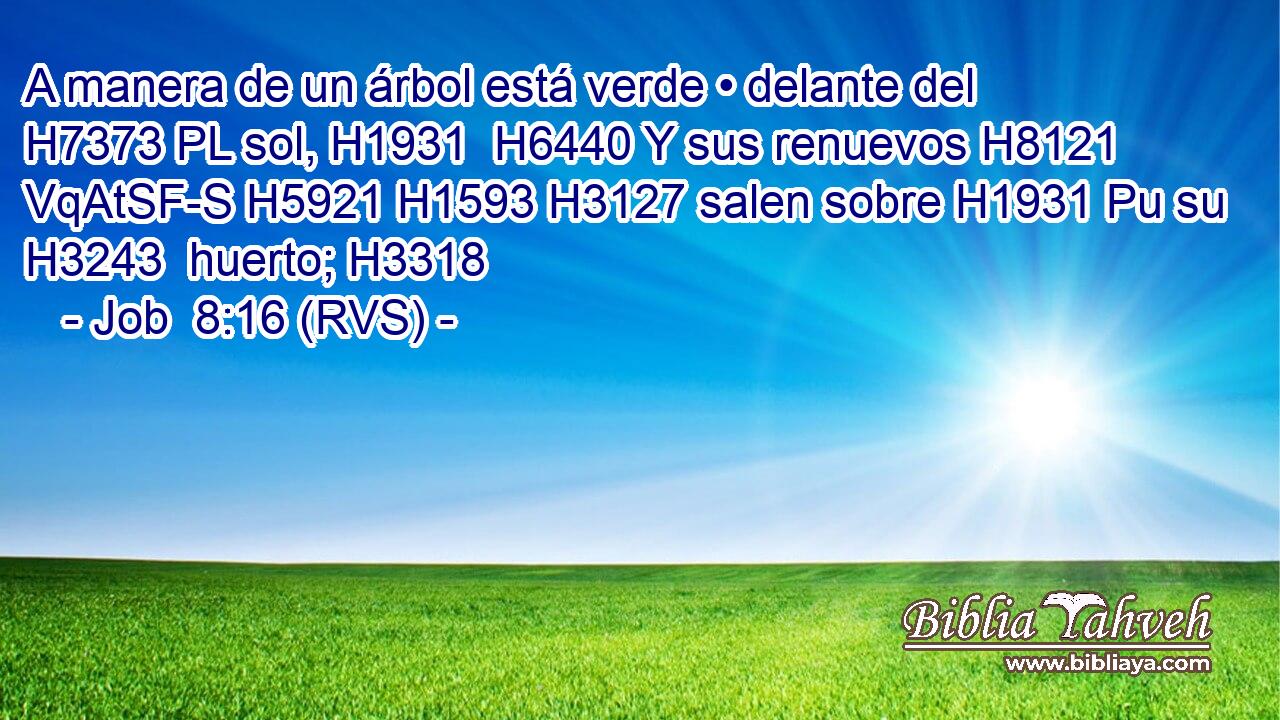 A manera de un árbol está verde • delante del H7373 PL sol, H1931  H6440 Y sus renuevos H8121 VqAtSF-S H5921 H1593 H3127 salen sobre H1931 Pu su H3243  huerto; H3318  