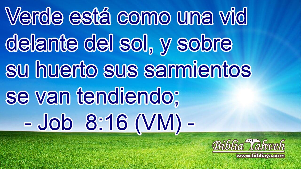  Verde está como una vid delante del sol, y sobre su huerto sus sarmientos se van tendiendo; 