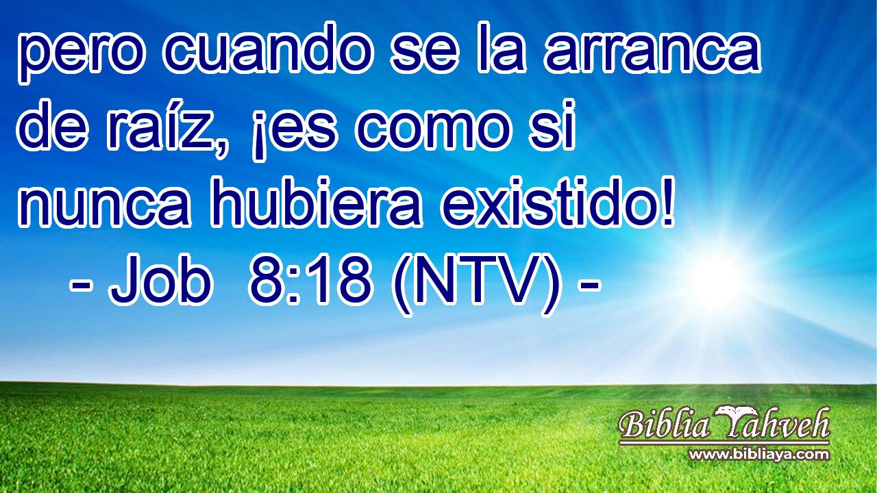 pero cuando se la arranca de raíz, ¡es como si nunca hubiera existido!