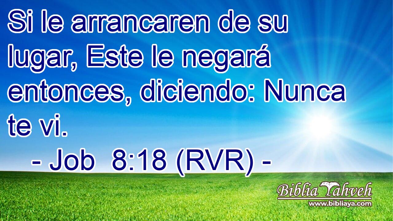 Si le arrancaren de su lugar, Este le negará entonces, diciendo: Nunca te vi.
