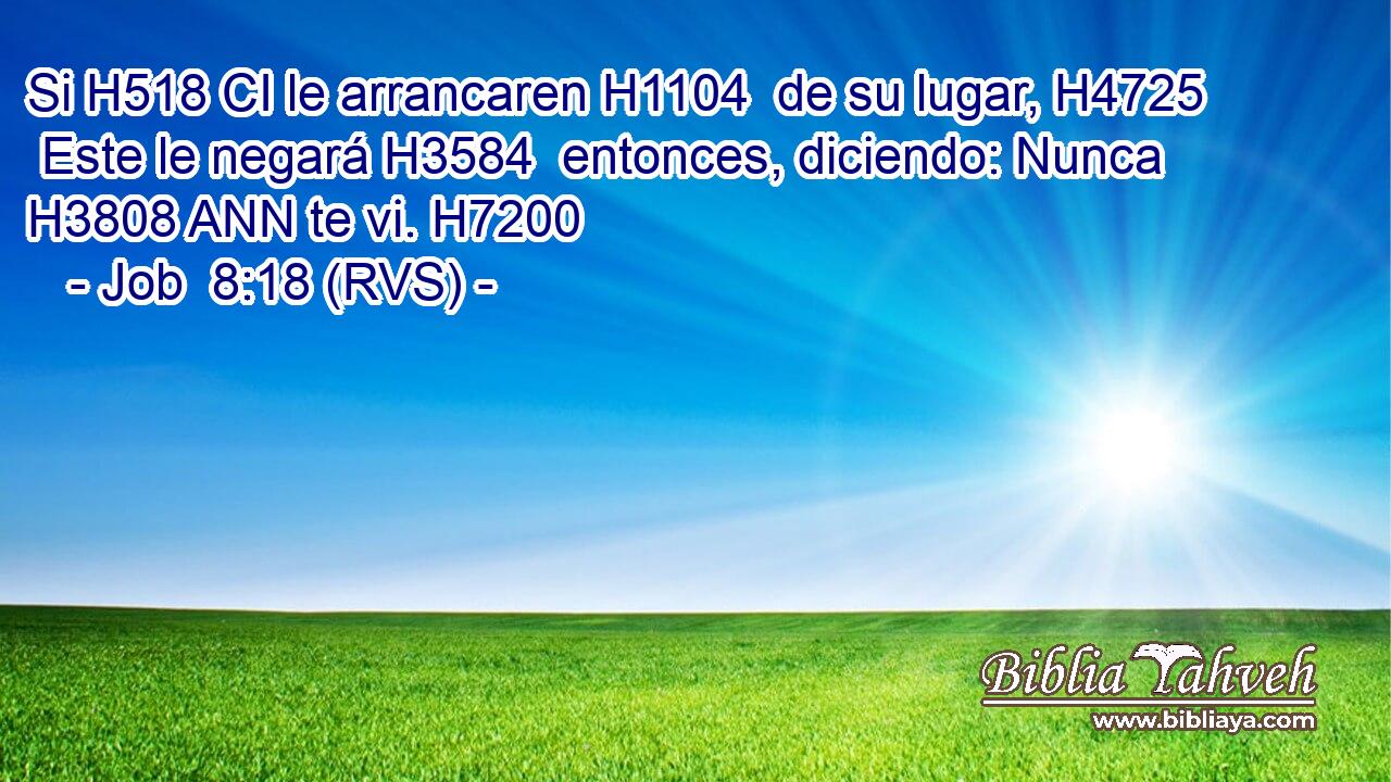 Si H518 CI le arrancaren H1104  de su lugar, H4725  Este le negará H3584  entonces, diciendo: Nunca H3808 ANN te vi. H7200  