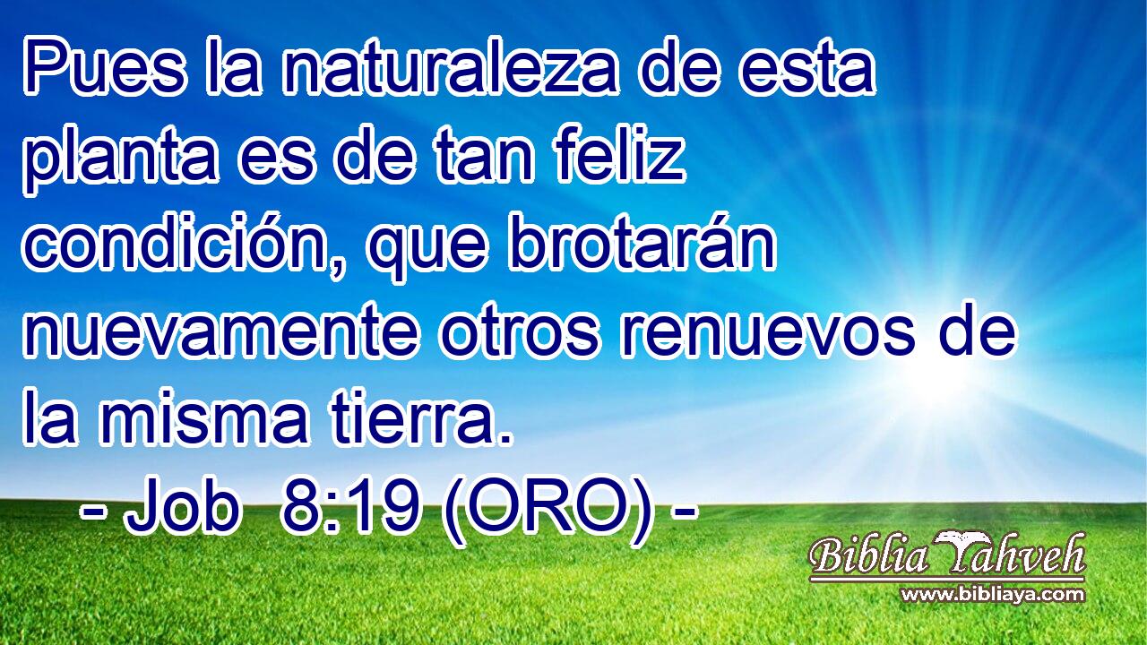  Pues la naturaleza de esta planta es de tan feliz condición, que brotarán nuevamente otros renuevos de la misma tierra. 