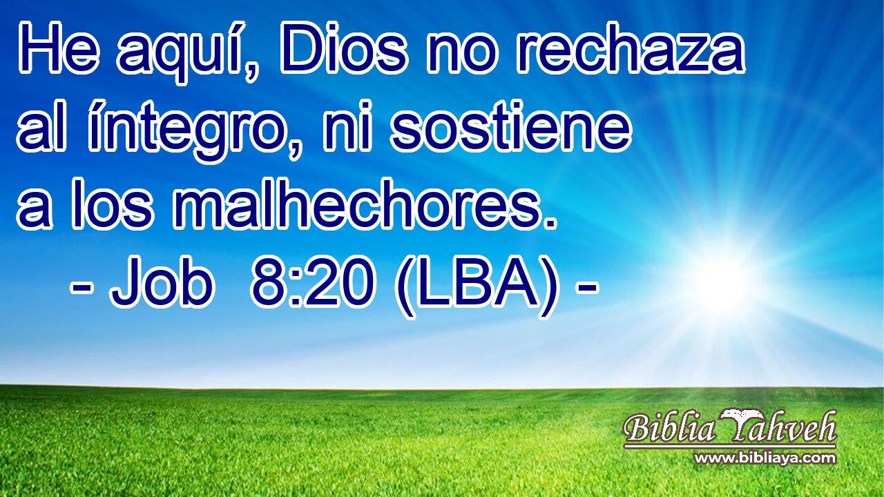 He aquí, Dios no rechaza al íntegro, ni sostiene a los malhechores.