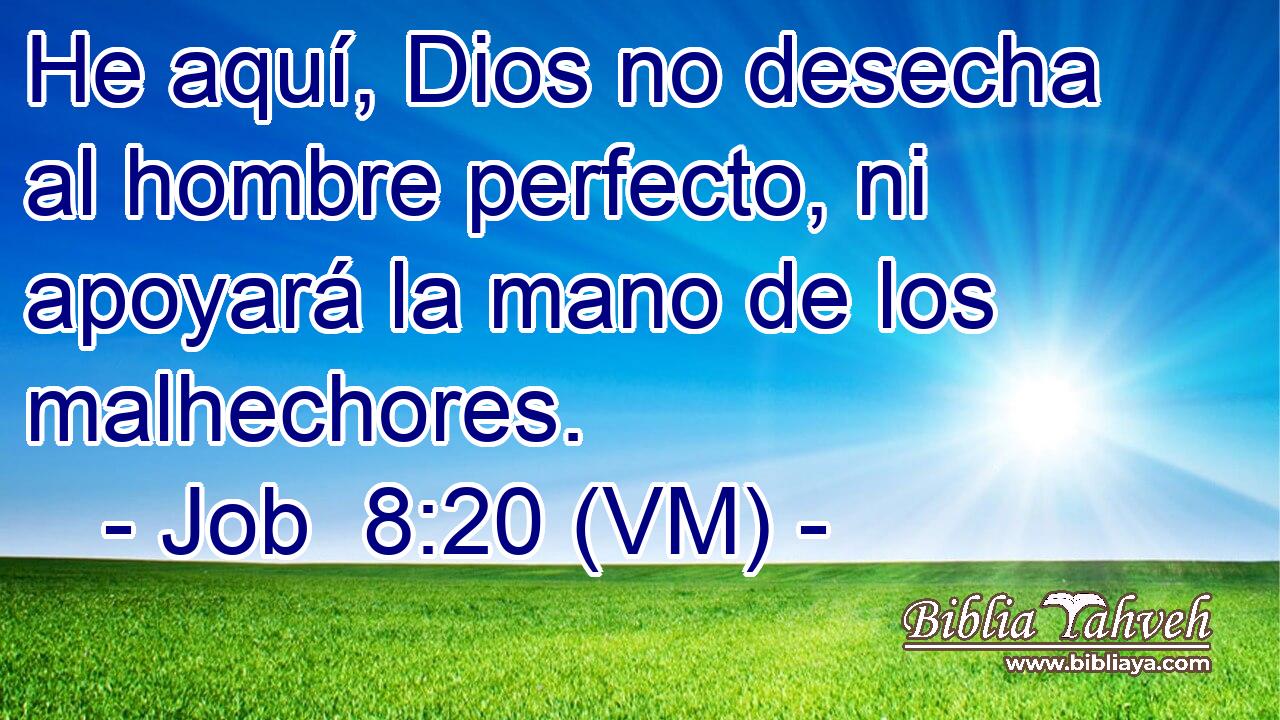  He aquí, Dios no desecha al hombre perfecto, ni apoyará la mano de los malhechores. 
