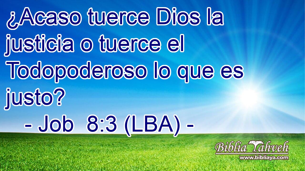 ¿Acaso tuerce Dios la justicia o tuerce el Todopoderoso lo que es justo?
