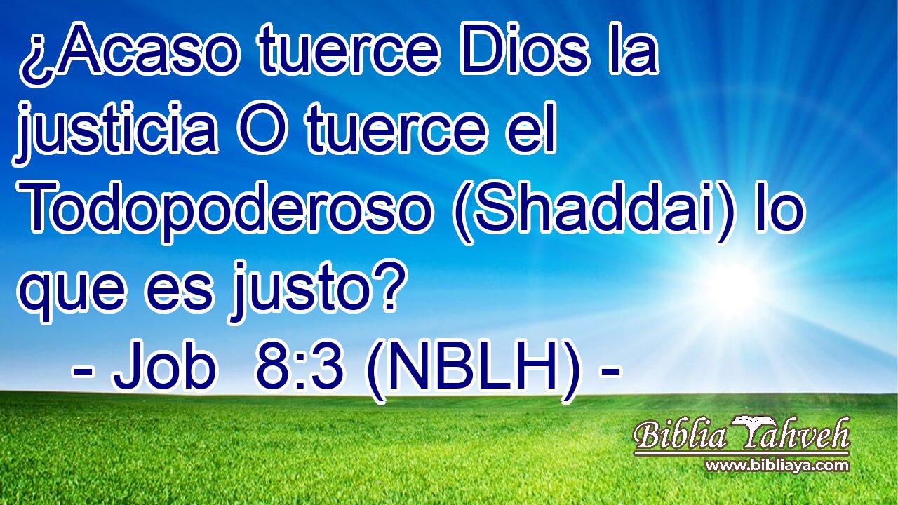  ¿Acaso tuerce Dios la justicia O tuerce el Todopoderoso (Shaddai) lo que es justo? 