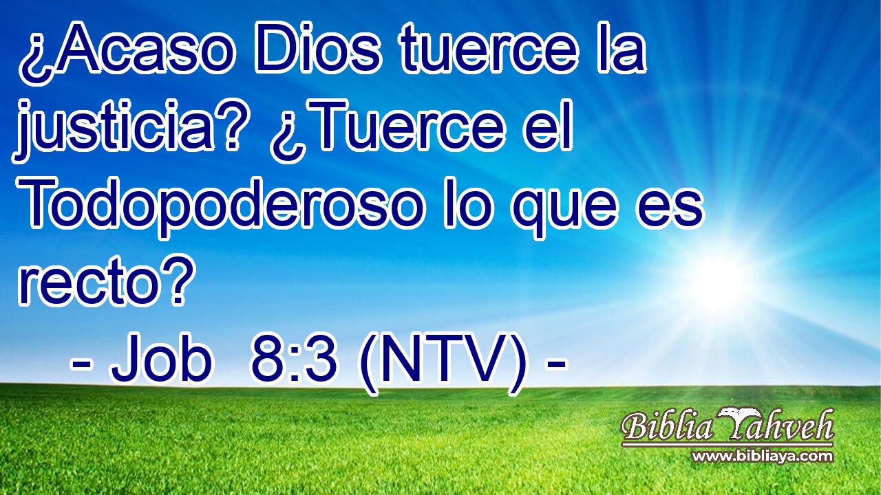 ¿Acaso Dios tuerce la justicia? ¿Tuerce el Todopoderoso lo que es recto?