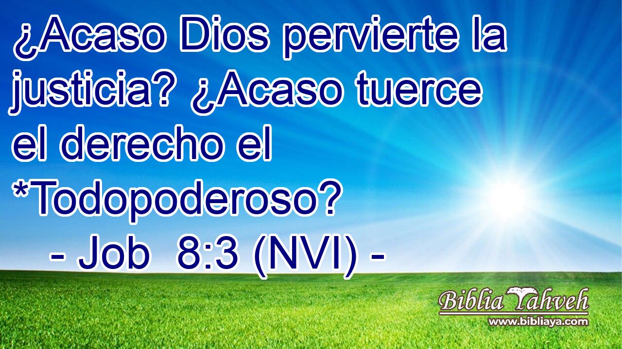  ¿Acaso Dios pervierte la justicia? ¿Acaso tuerce el derecho el *Todopoderoso? 