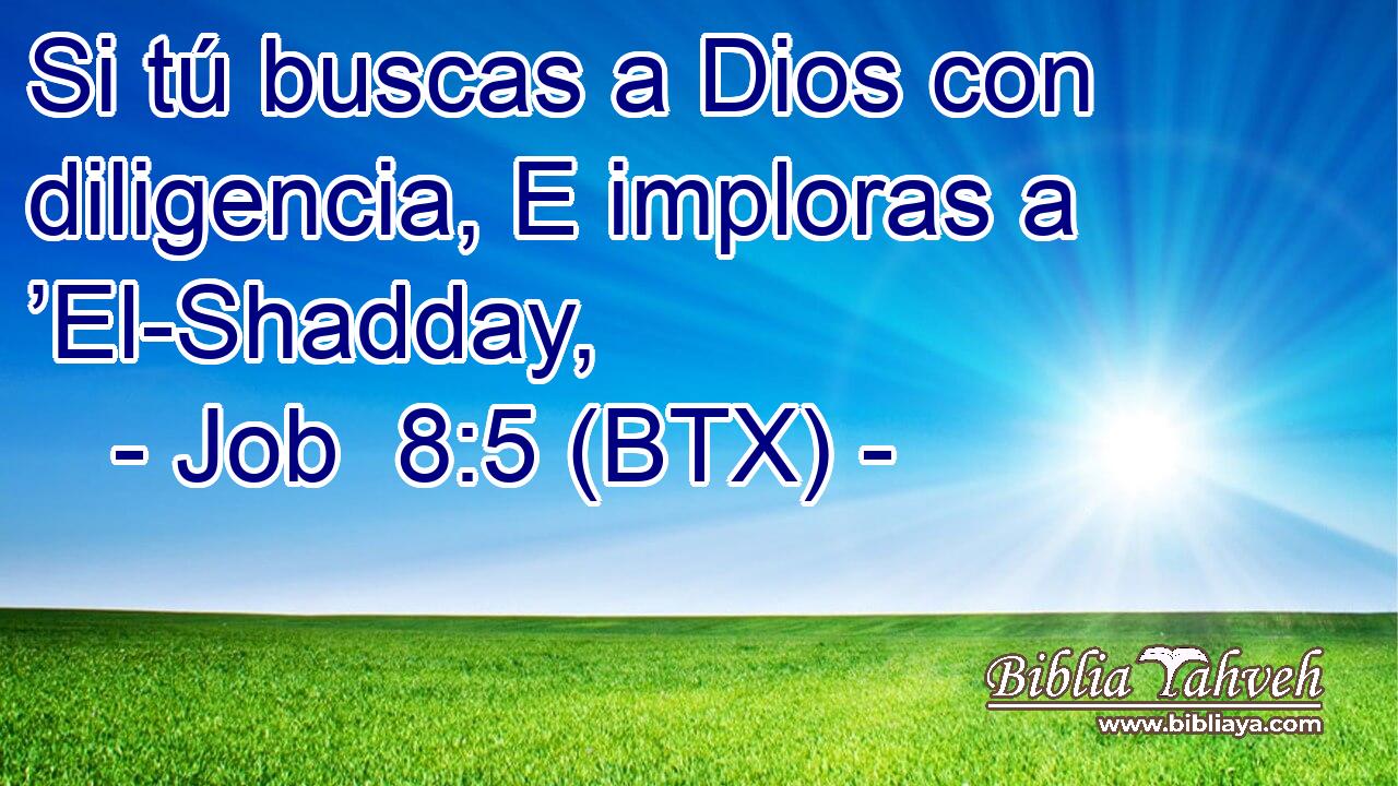Si tú buscas a Dios con diligencia, E imploras a ’El-Shadday,