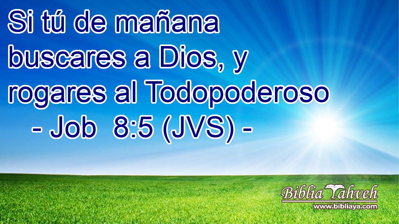 Si tú de mañana buscares a Dios, y rogares al Todopoderoso