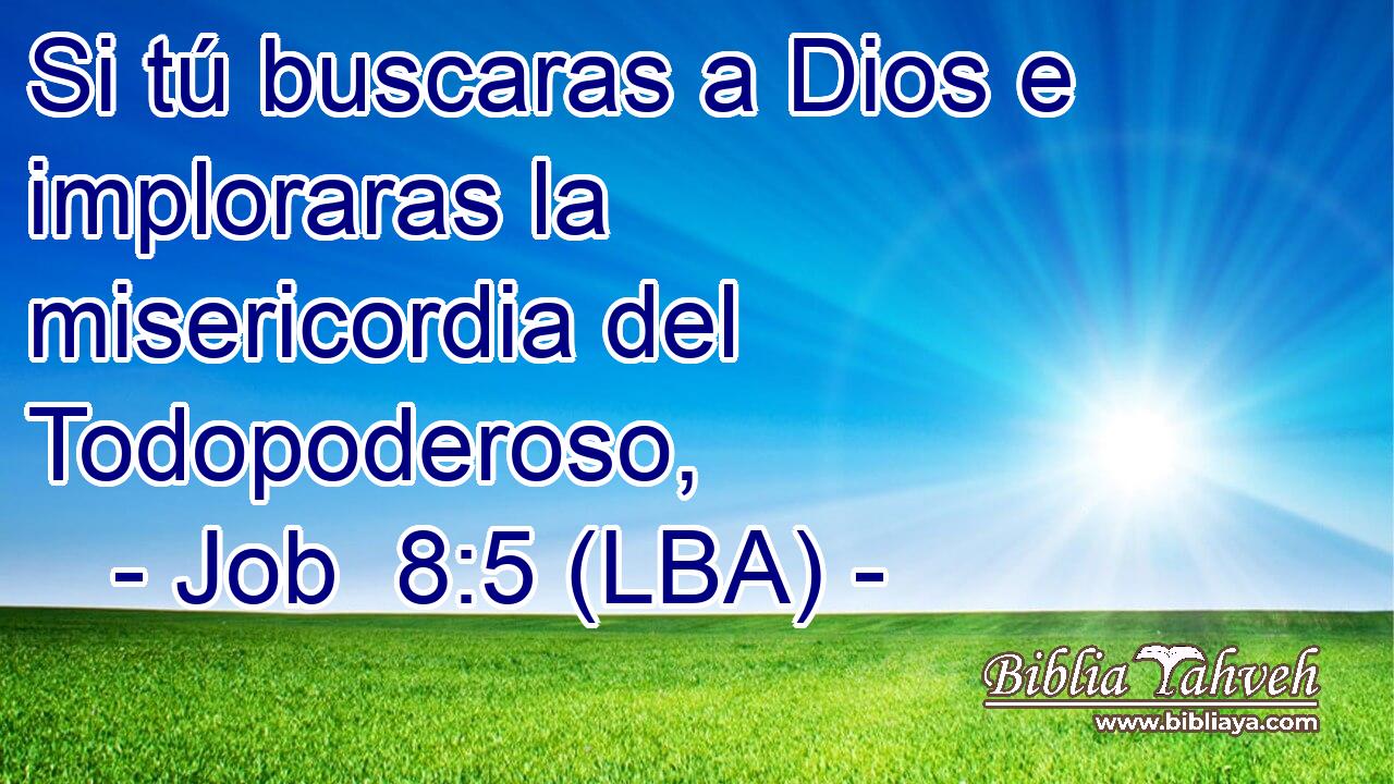 Si tú buscaras a Dios e imploraras la misericordia del Todopoderoso,