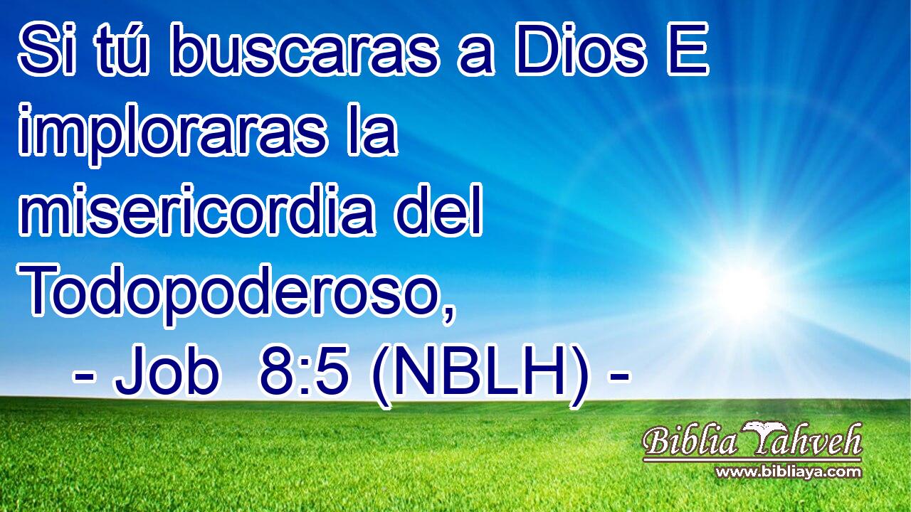  Si tú buscaras a Dios E imploraras la misericordia del Todopoderoso, 