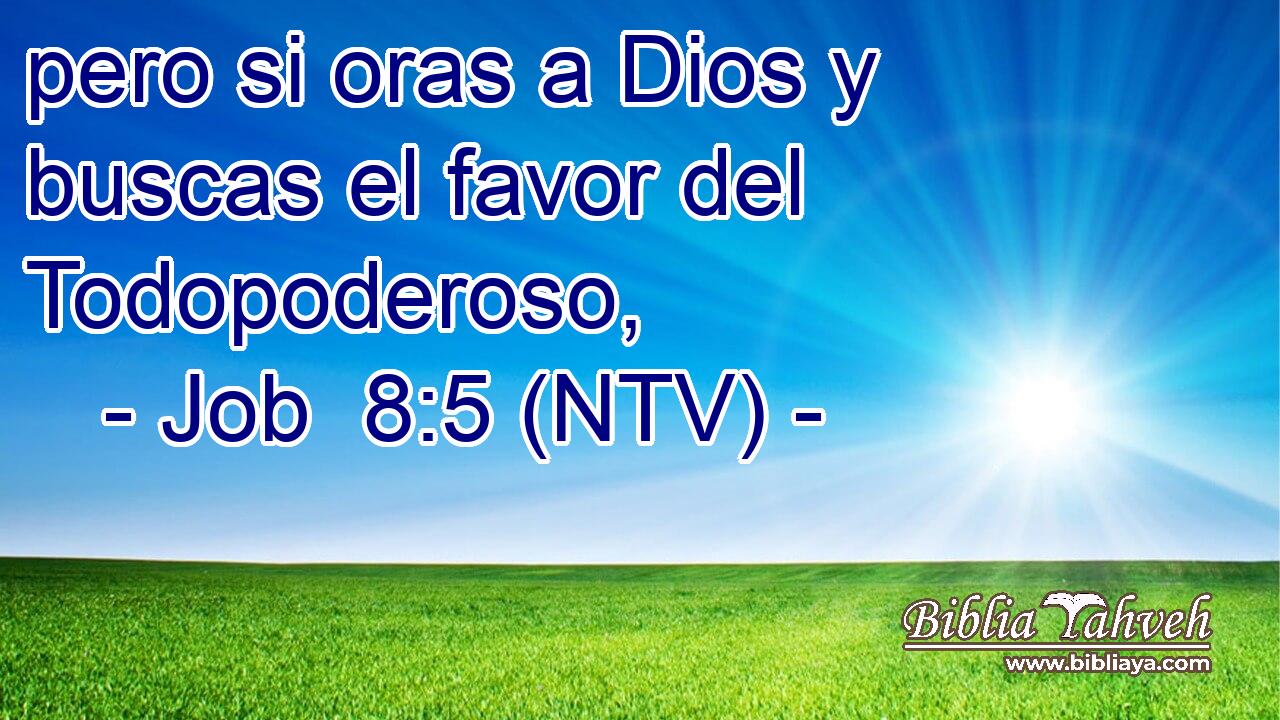 pero si oras a Dios y buscas el favor del Todopoderoso,