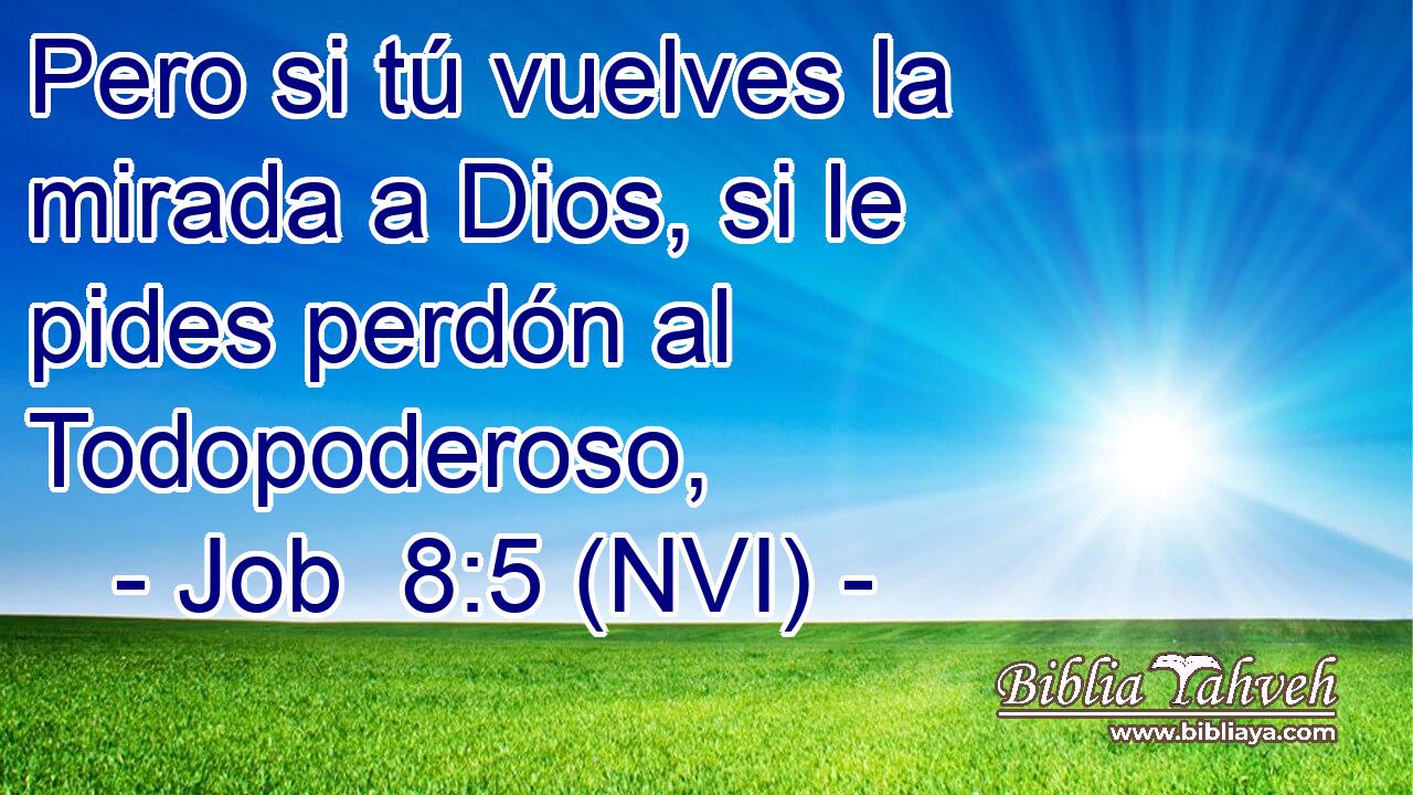  Pero si tú vuelves la mirada a Dios, si le pides perdón al Todopoderoso, 