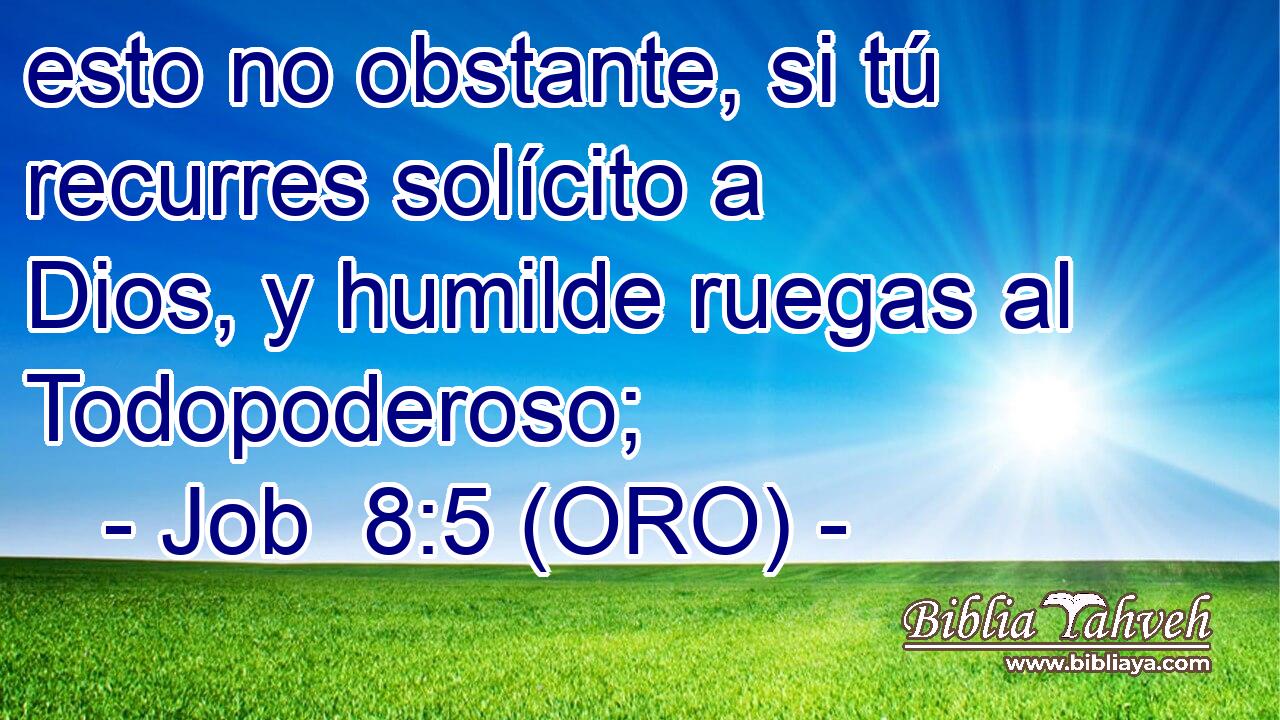  esto no obstante, si tú recurres solícito a Dios, y humilde ruegas al Todopoderoso; 